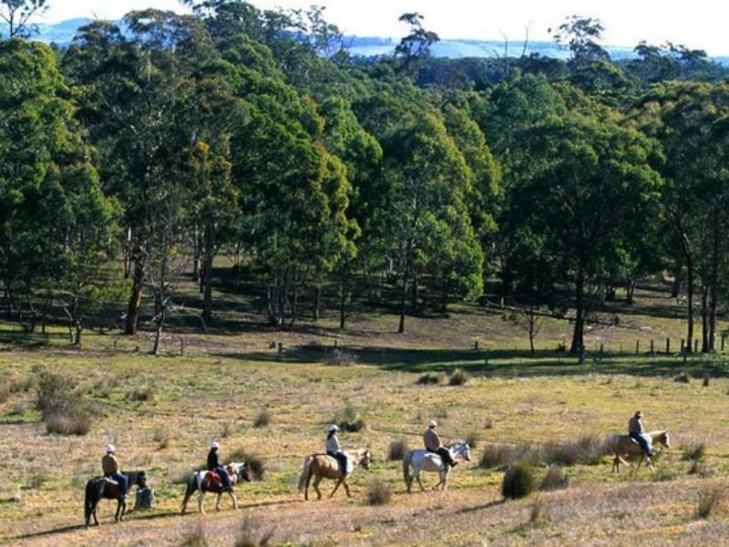 Katoomba Mountain Lodge Экстерьер фото